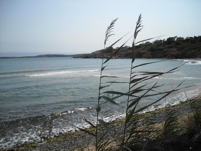 Black Sea Star Chernomorets Bagian luar foto